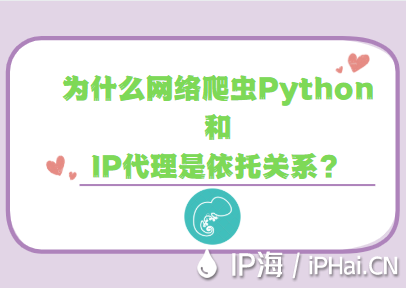為什么網(wǎng)絡(luò)爬蟲(chóng)Python和IP代理是依托關(guān)系？