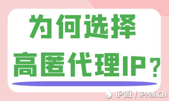 為何選擇高匿代理IP？
