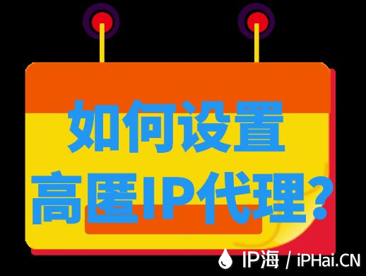 如何設置高匿IP代理？