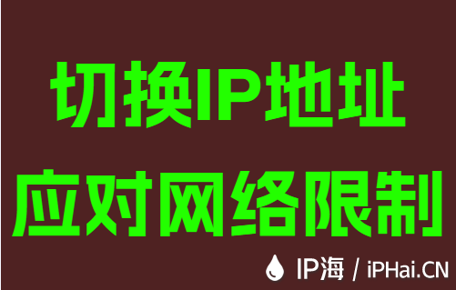切換IP地址應對網絡限制