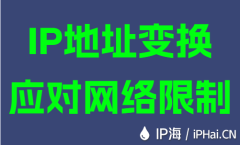 IP地址變換應對網絡限制