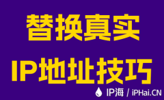 替換真實IP地址技巧